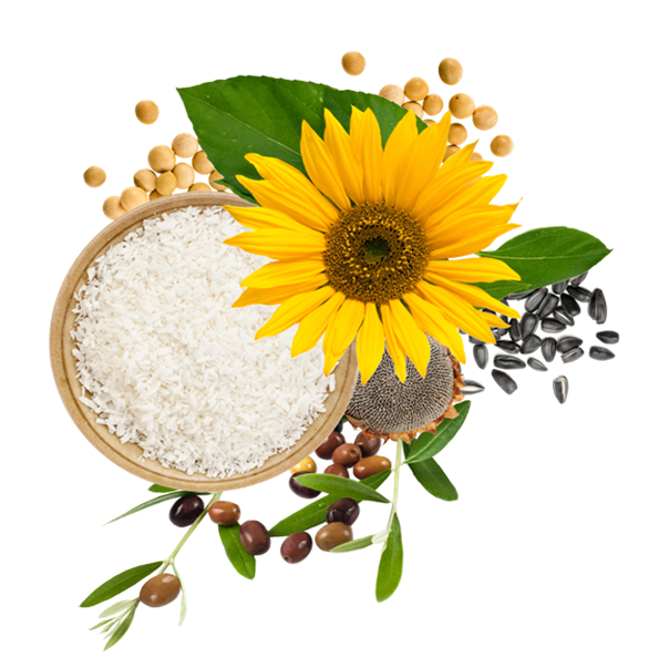 科莱恩Clariant天然蜡Plantasens Waxes